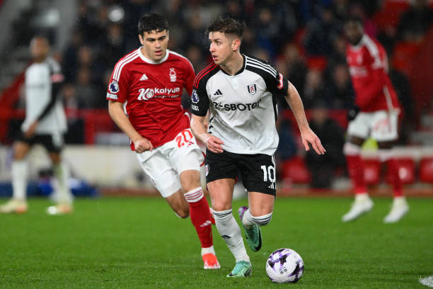 我们本能地 我们本能地